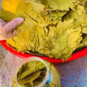 Akhisar Asma Yaprağı - Brut 2kg-Net 1.7Kg