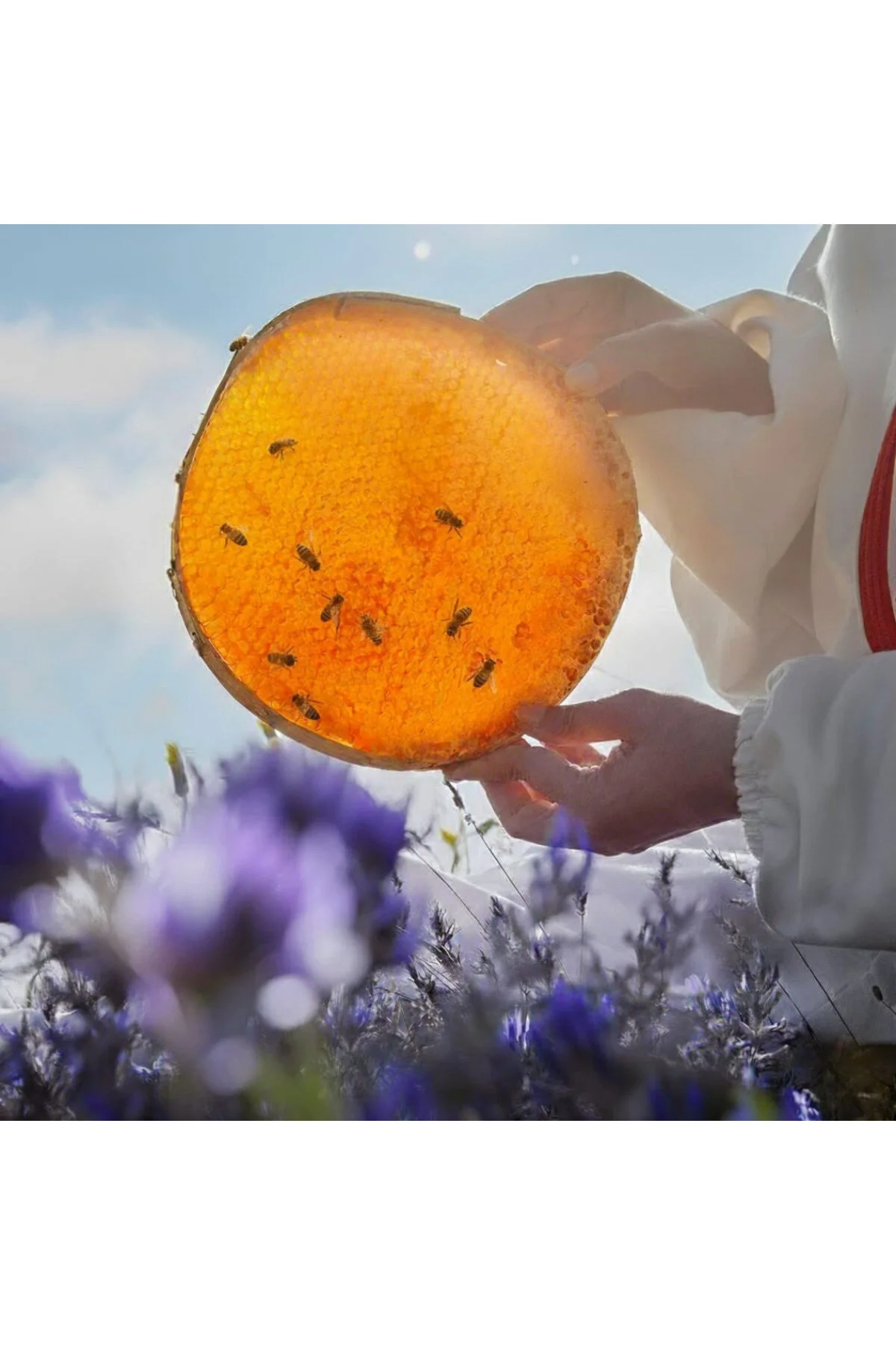 Hakiki Karakovan Toros Petek Balı - (Sıfır Şeker) 1100-1300g - Görsel 3