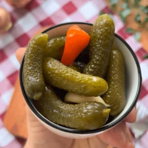 Antep Ev Yapımı Kornişon Turşusu 1kg