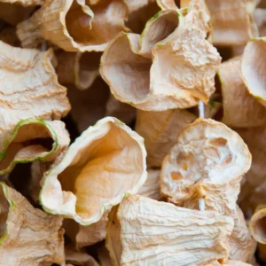 Antep Dolmalık Kabak Kurusu 40-50 Adet